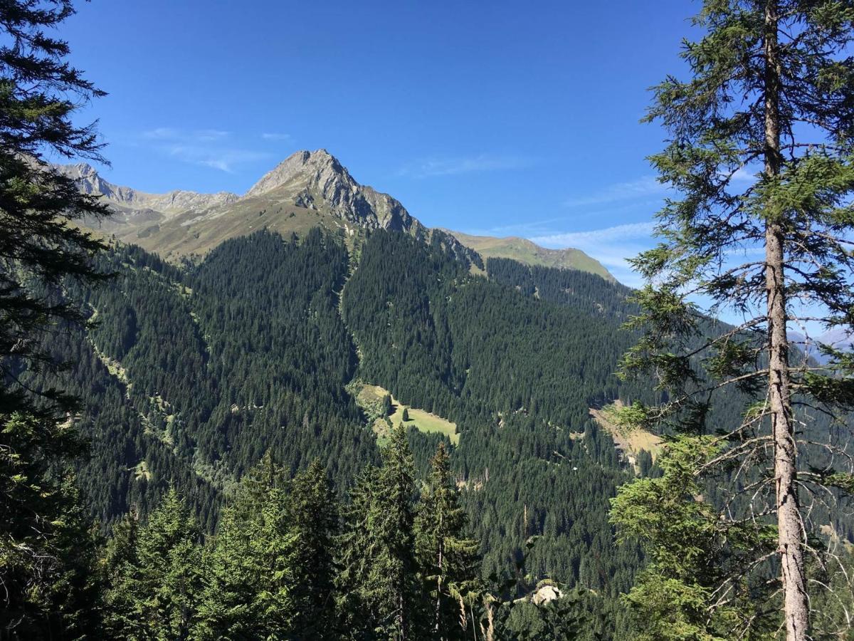 Pfeifer Birgitt * Sankt Gallenkirch